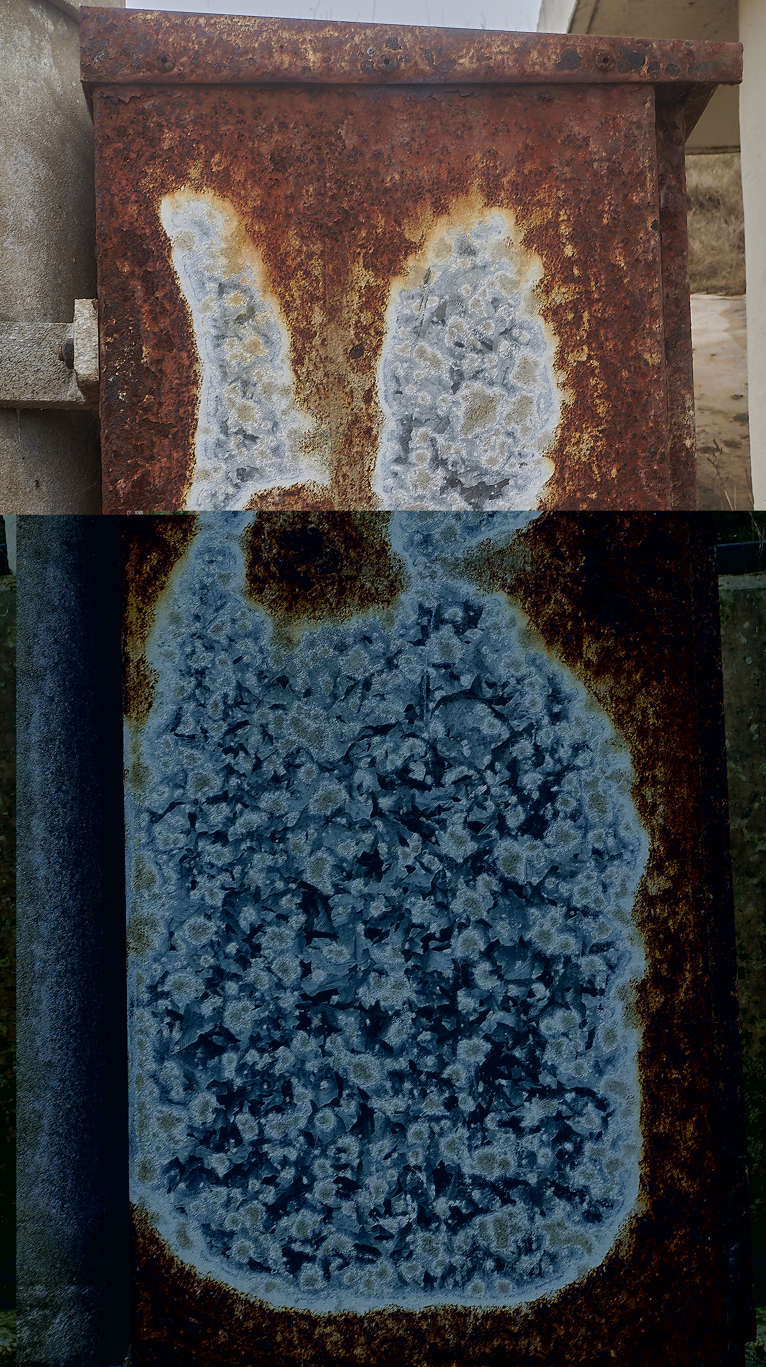 _DSC3373-NEF_DxO_DeepPRIMEXD