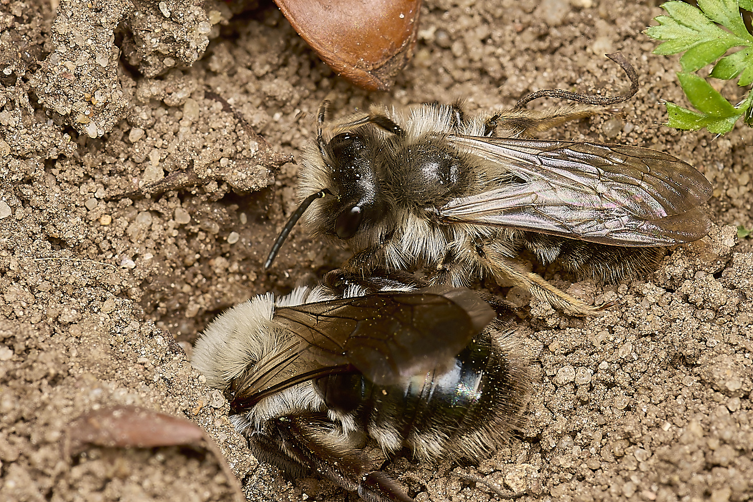 NorwichAvaga250324-13