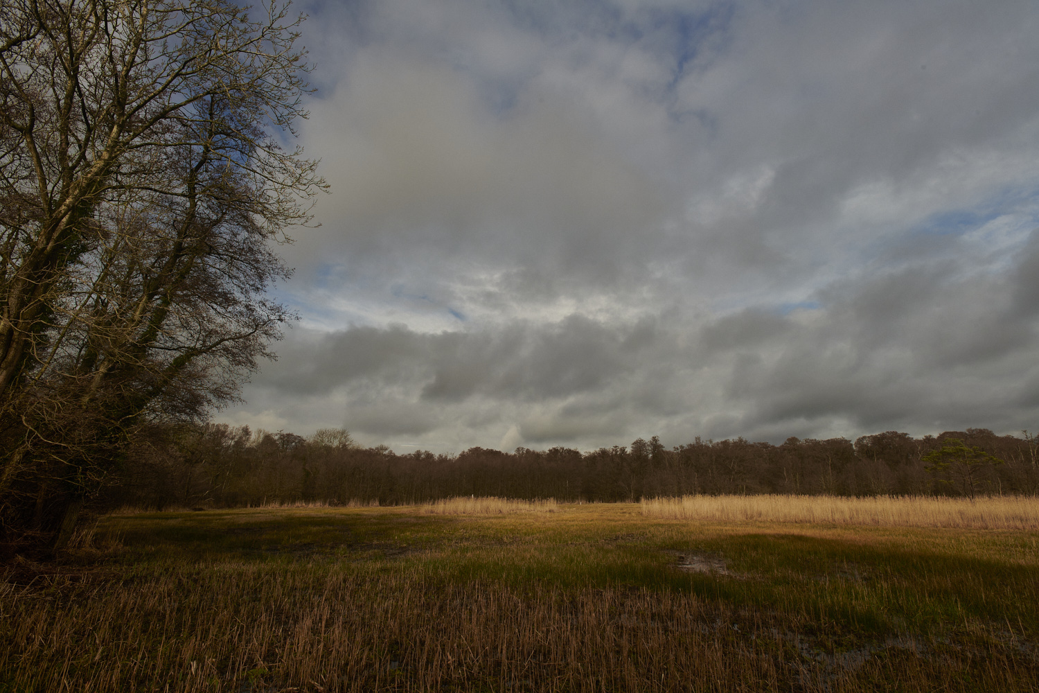 SmallburghFen110224-1