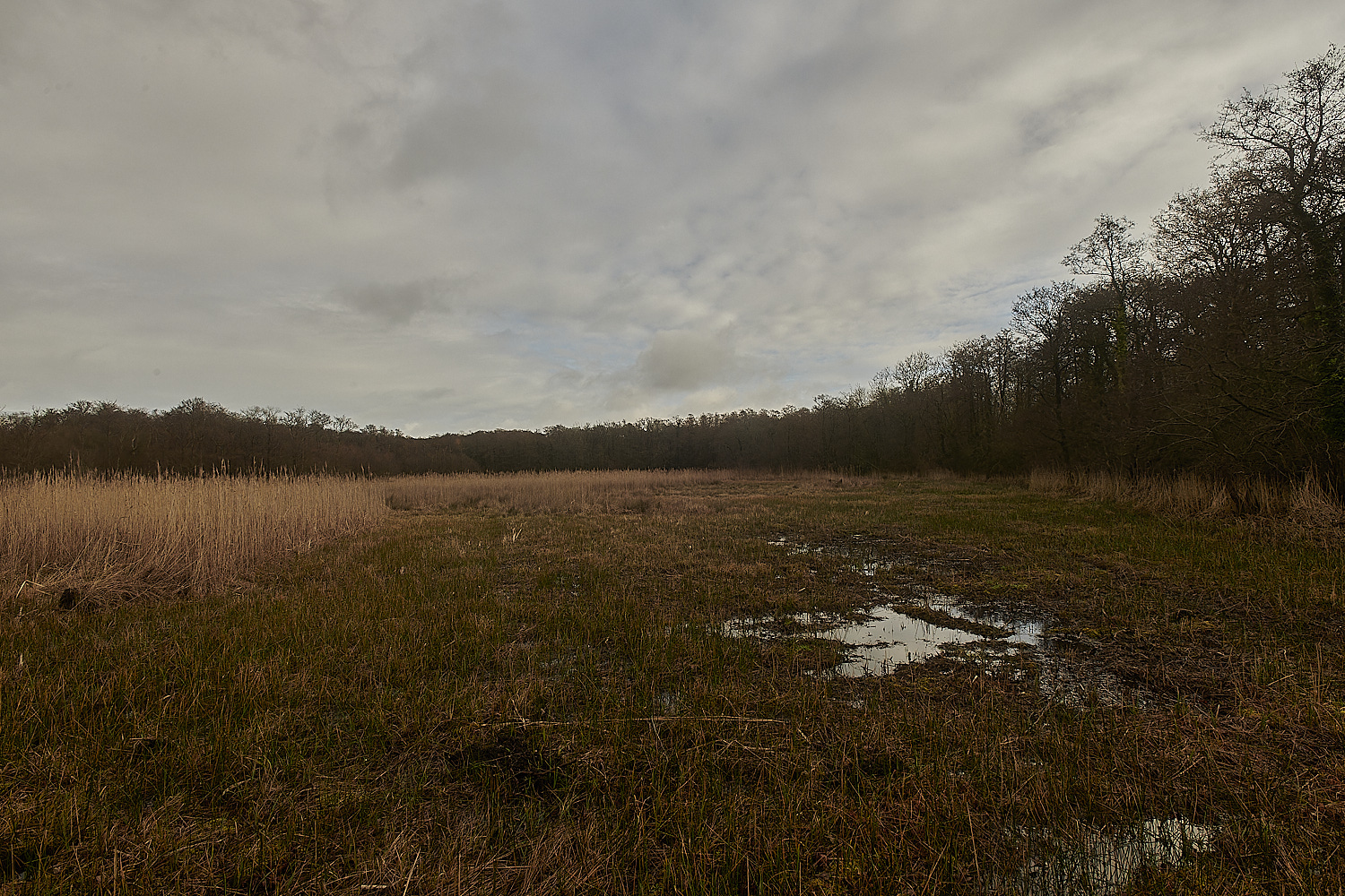 SmallburghFen110224-2