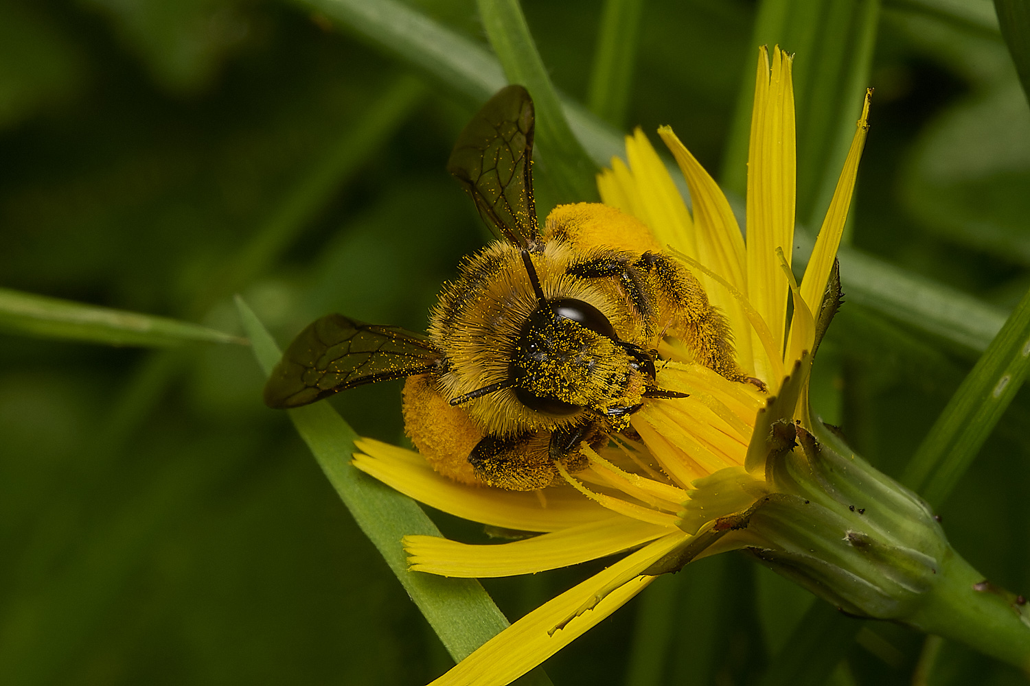 SouthwoldPantaloon250724-5