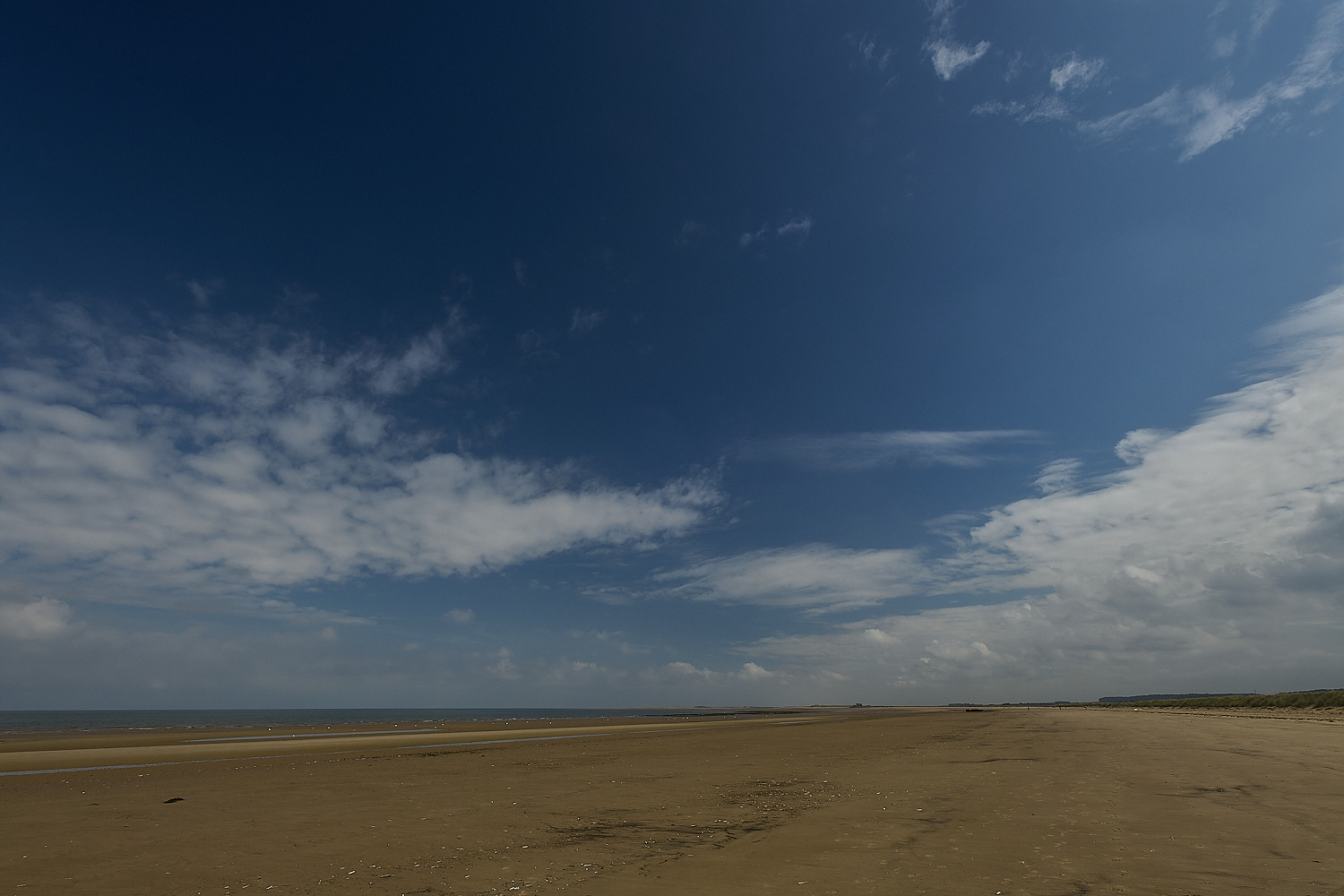 Titchwell040924-4-NEF-