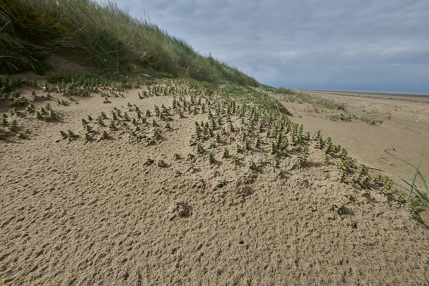 TitchwellHonkenya040924-6-NEF-